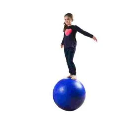 Balance Ball -Casual Game Store 132 5951 1