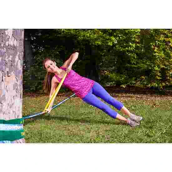 Gibbon Fitness Upgrade 2 Gibbon Fitness Upgrade - Image 2