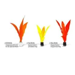 Casual Game Store -Casual Game Store 268 2408 2