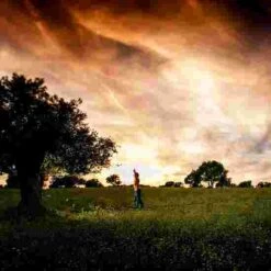 Gibbon "Treewear" Surfer Line 33 Gibbon "Treewear" Surfer Line -Casual Game Store 307 6402 15